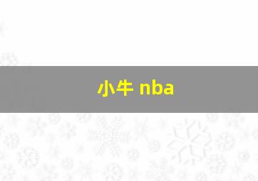 小牛 nba